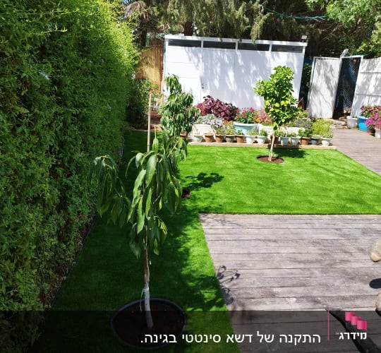 עצים ודשא בגינה עם עציצים על שביל עץ